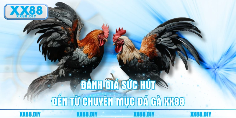Đánh giá sức hút đến từ chuyên mục Đá Gà XX88
