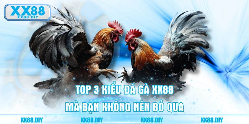 Top 3 kiểu Đá Gà XX88 mà bạn không nên bỏ qua