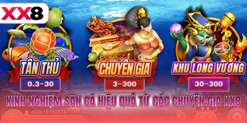 Kinh nghiệm săn cá hiệu quả từ các chuyên gia XX8