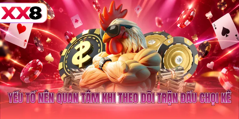 Yếu tố nên quan tâm khi theo dõi trận đấu chọi kê